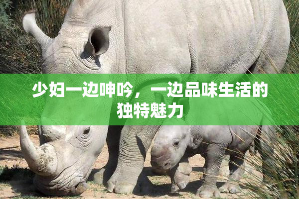少妇一边呻吟，一边品味生活的独特魅力
