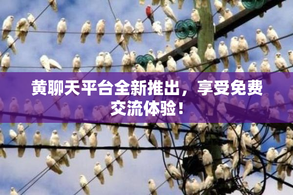 黄聊天平台全新推出，享受免费交流体验！