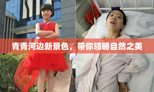青青河边新景色，带你领略自然之美
