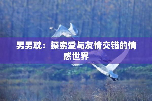 男男耽：探索爱与友情交错的情感世界