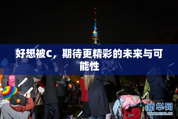 好想被C，期待更精彩的未来与可能性