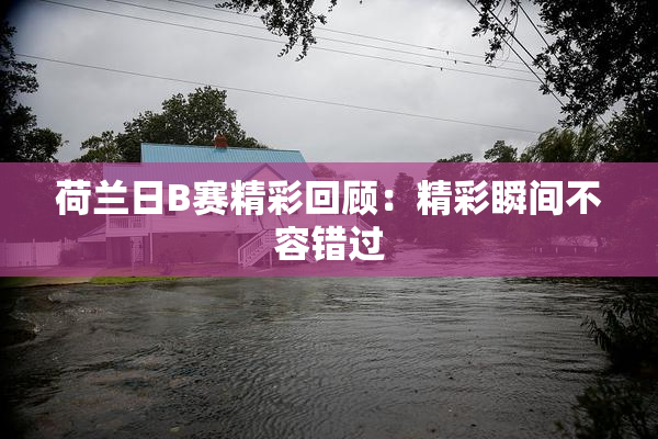 荷兰日B赛精彩回顾：精彩瞬间不容错过