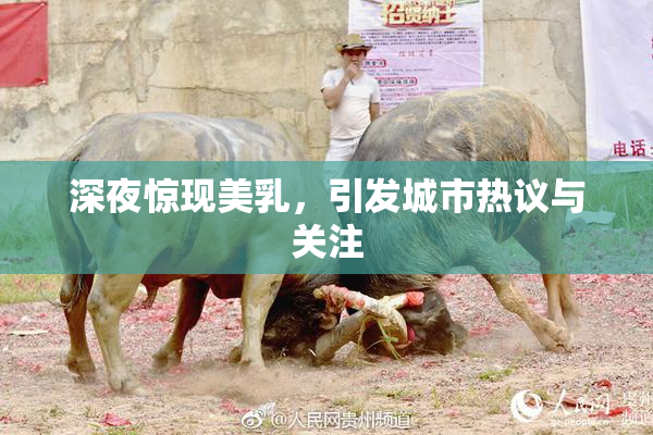 深夜惊现美乳，引发城市热议与关注