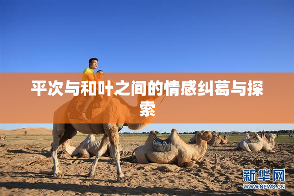 平次与和叶之间的情感纠葛与探索