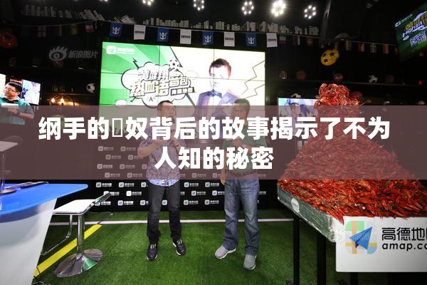 纲手的婬奴背后的故事揭示了不为人知的秘密