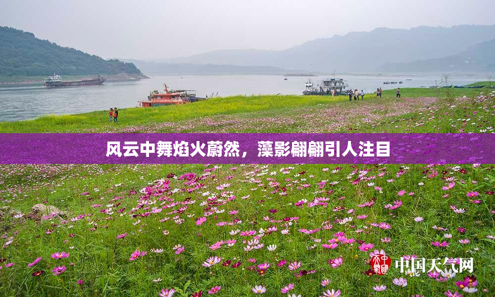 风云中舞焰火蔚然，藻影翩翩引人注目