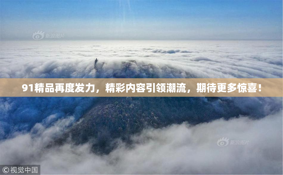 91精品再度发力，精彩内容引领潮流，期待更多惊喜！