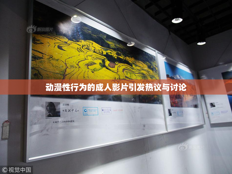 动漫性行为的成人影片引发热议与讨论
