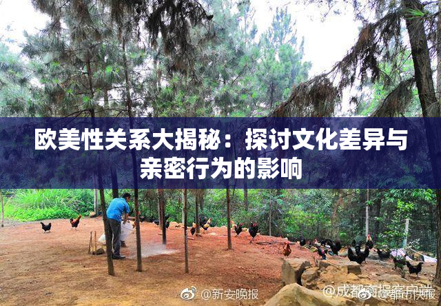 欧美性关系大揭秘：探讨文化差异与亲密行为的影响