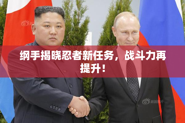 纲手揭晓忍者新任务，战斗力再提升！