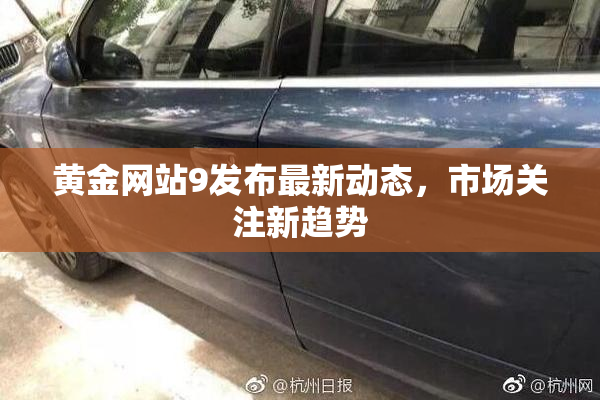 黄金网站9发布最新动态，市场关注新趋势
