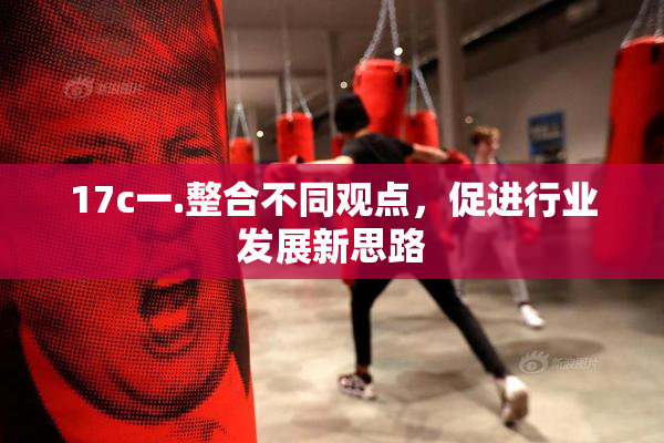 17c一.整合不同观点，促进行业发展新思路