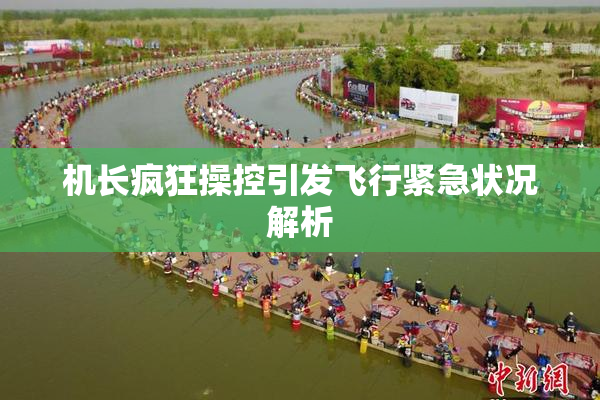 机长疯狂操控引发飞行紧急状况解析