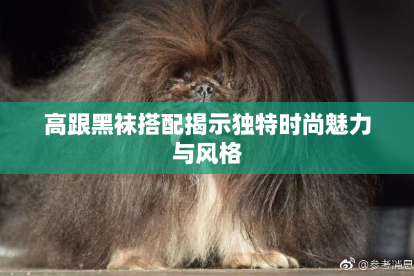 高跟黑袜搭配揭示独特时尚魅力与风格