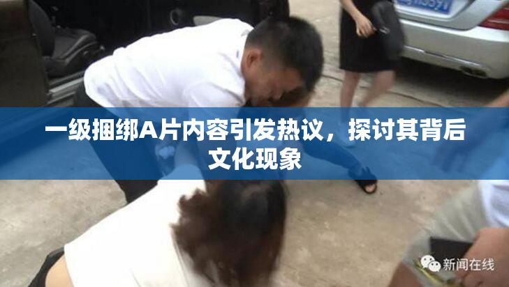 一级捆绑A片内容引发热议，探讨其背后文化现象