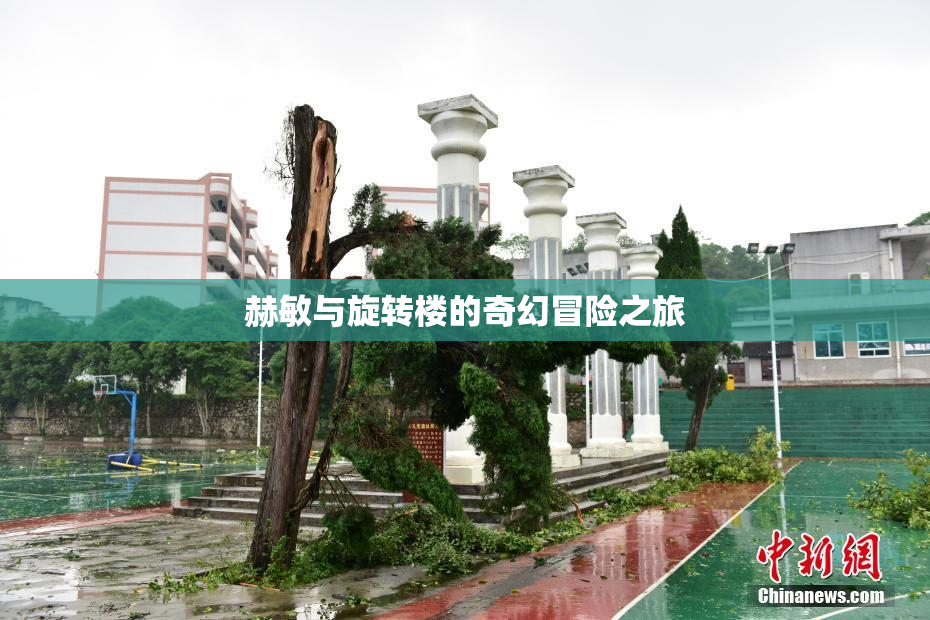 赫敏与旋转楼的奇幻冒险之旅