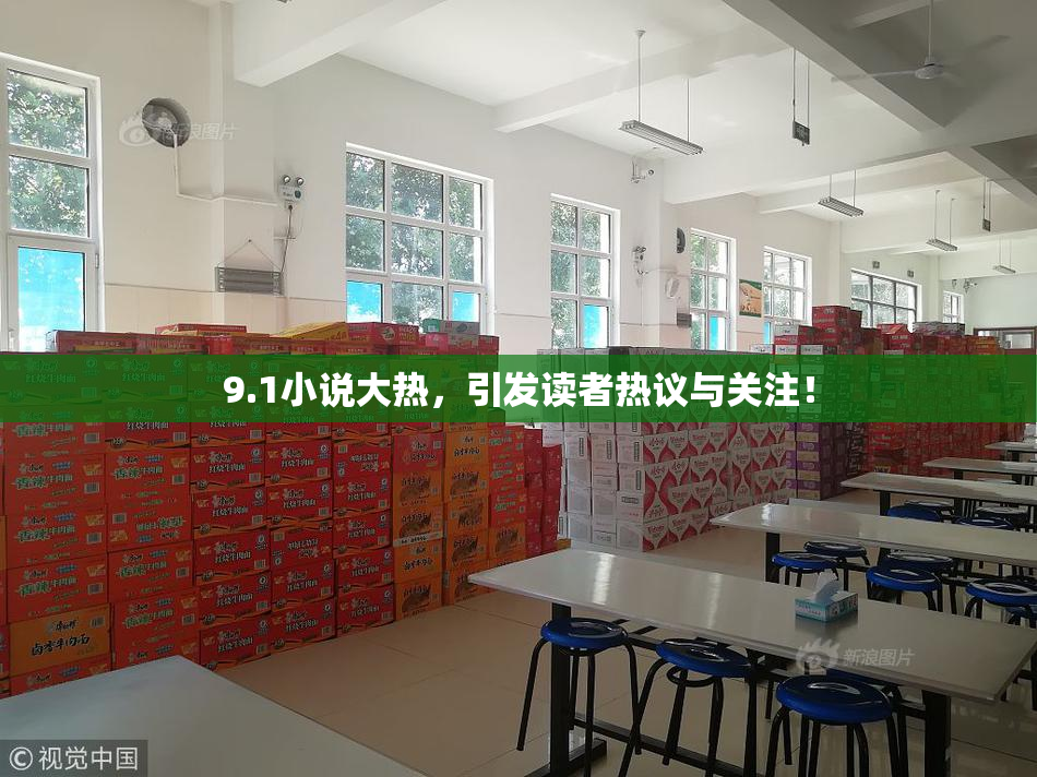 9.1小说大热，引发读者热议与关注！