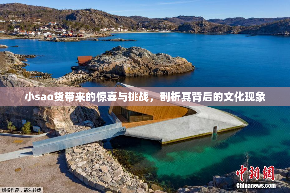 小sao货带来的惊喜与挑战，剖析其背后的文化现象