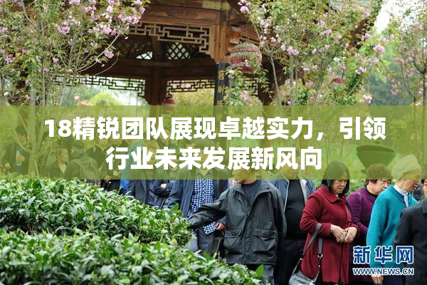 18精锐团队展现卓越实力，引领行业未来发展新风向