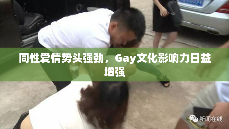 同性爱情势头强劲，Gay文化影响力日益增强