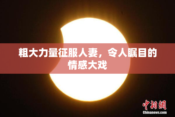 粗大力量征服人妻，令人瞩目的情感大戏