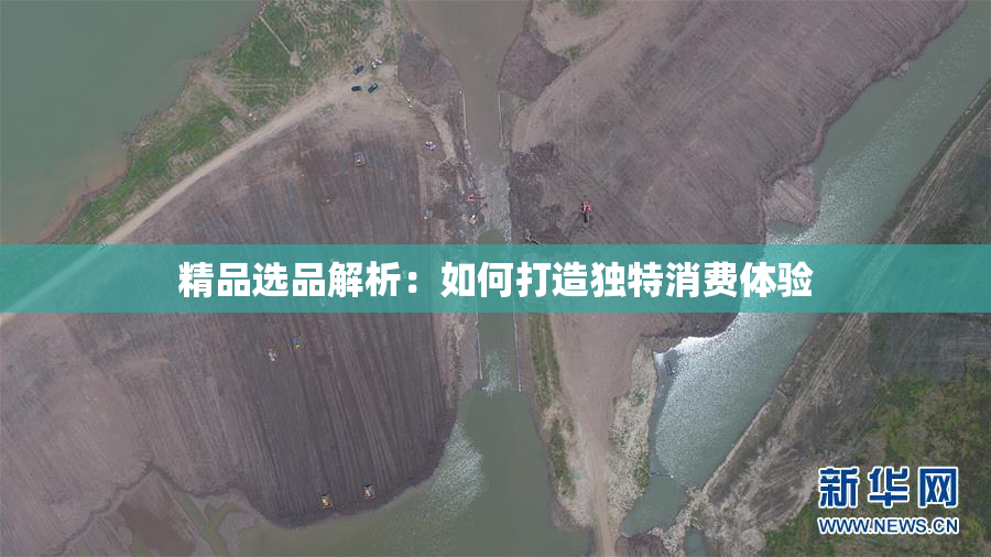 精品选品解析：如何打造独特消费体验