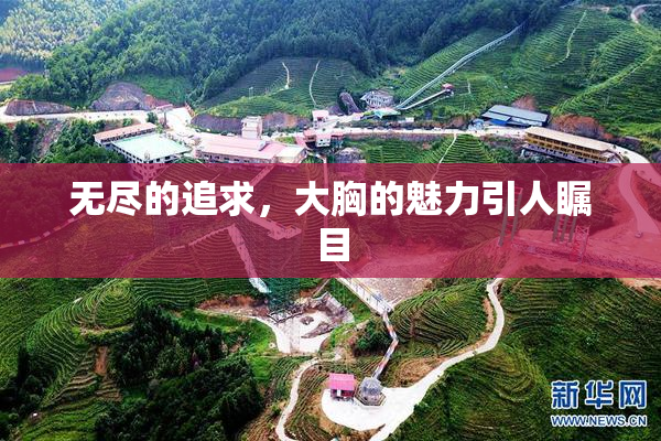 无尽的追求，大胸的魅力引人瞩目