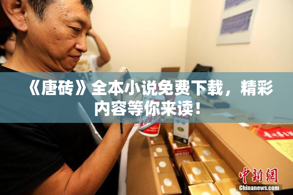 《唐砖》全本小说免费下载，精彩内容等你来读！