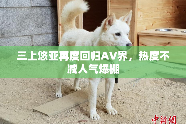 三上悠亚再度回归AV界，热度不减人气爆棚
