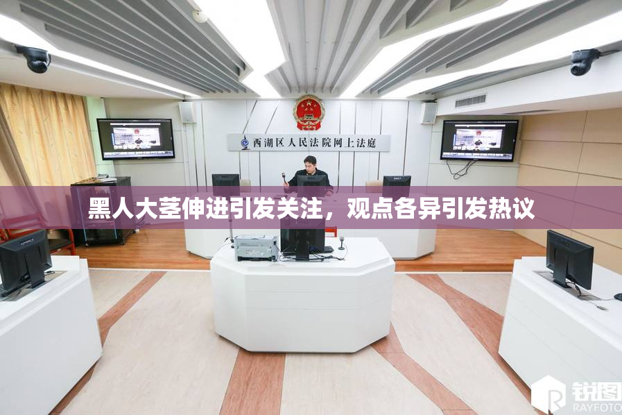 黑人大茎伸进引发关注，观点各异引发热议