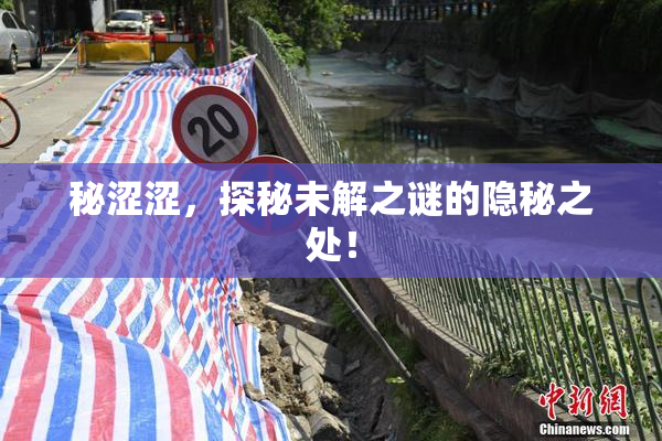 秘涩涩，探秘未解之谜的隐秘之处！