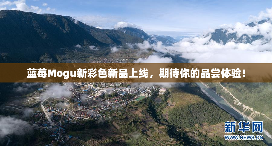 蓝莓Mogu新彩色新品上线，期待你的品尝体验！