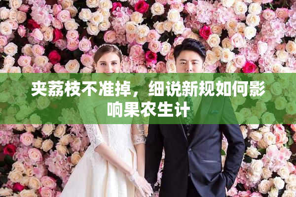 夹荔枝不准掉，细说新规如何影响果农生计