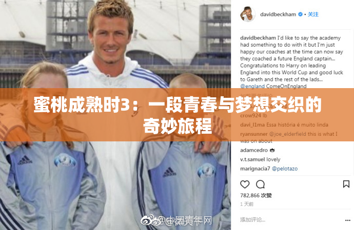 蜜桃成熟时3：一段青春与梦想交织的奇妙旅程