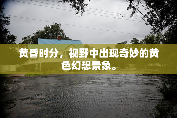 黄昏时分，视野中出现奇妙的黄色幻想景象。