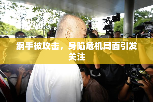 纲手被攻击，身陷危机局面引发关注