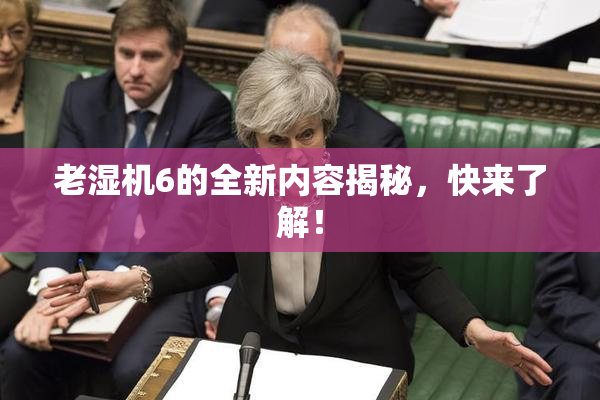 老湿机6的全新内容揭秘，快来了解！