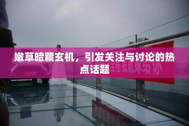 嫩草暗藏玄机，引发关注与讨论的热点话题