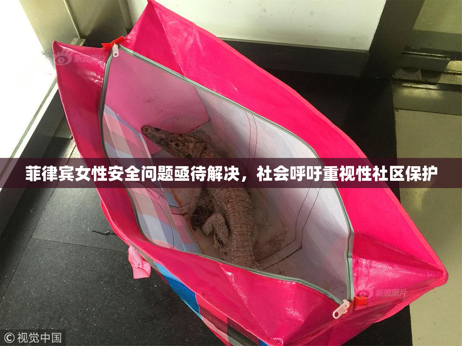 菲律宾女性安全问题亟待解决，社会呼吁重视性社区保护