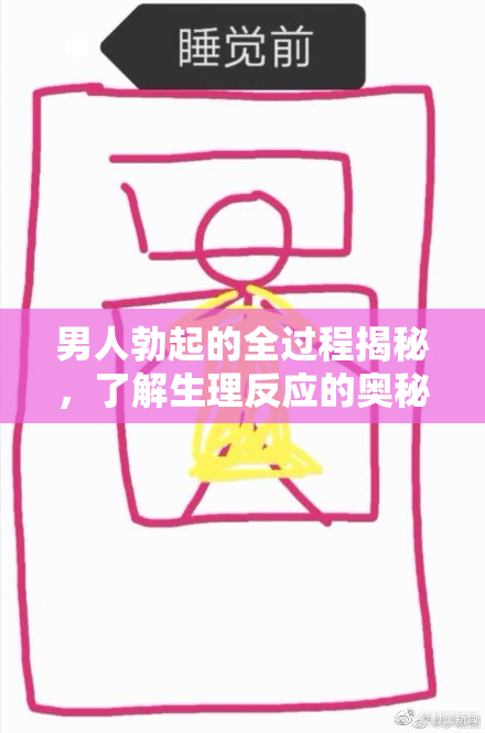 男人勃起的全过程揭秘，了解生理反应的奥秘
