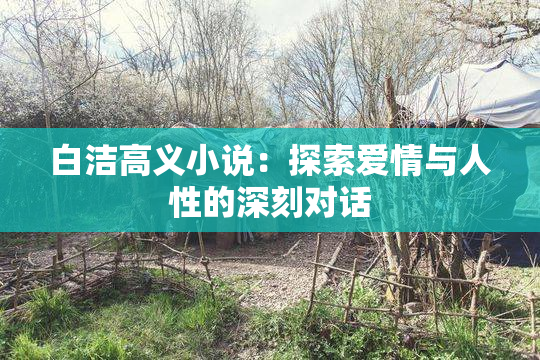 白洁高义小说：探索爱情与人性的深刻对话