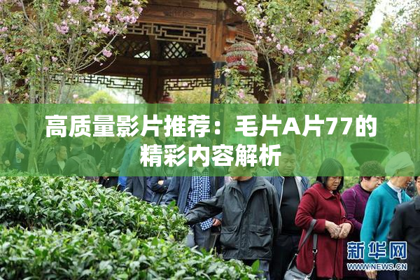 高质量影片推荐：毛片A片77的精彩内容解析