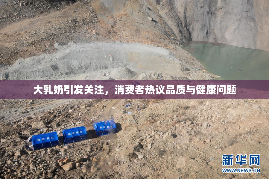 大乳奶引发关注，消费者热议品质与健康问题