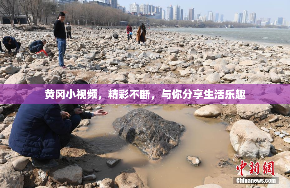 黄冈小视频，精彩不断，与你分享生活乐趣