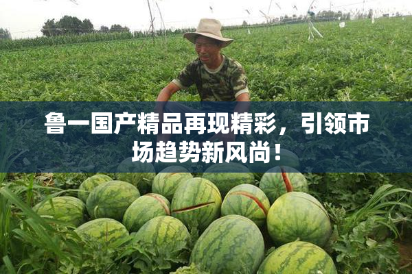 鲁一国产精品再现精彩，引领市场趋势新风尚！