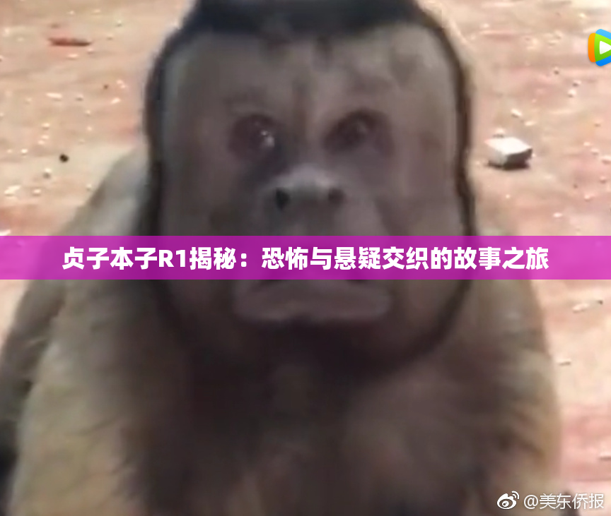 贞子本子R1揭秘：恐怖与悬疑交织的故事之旅
