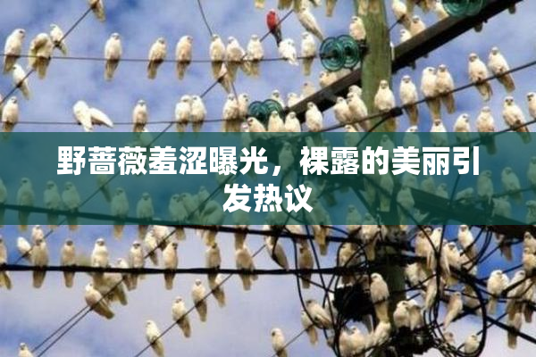 野蔷薇羞涩曝光，裸露的美丽引发热议