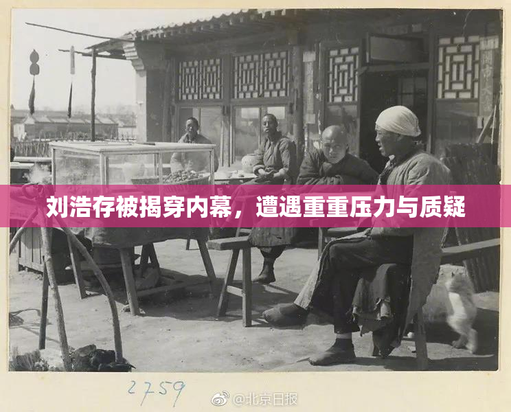 刘浩存被揭穿内幕，遭遇重重压力与质疑