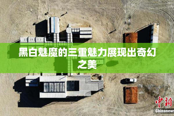 黑白魅魔的三重魅力展现出奇幻之美