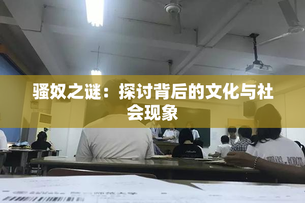 骚奴之谜：探讨背后的文化与社会现象